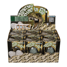 Out Of The Blue Growing Dinosaur In Egg Asst