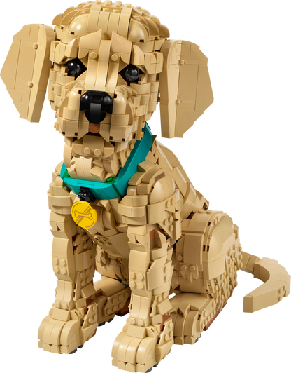 LEGO ICONS 11384 Golden Retriever Puppy