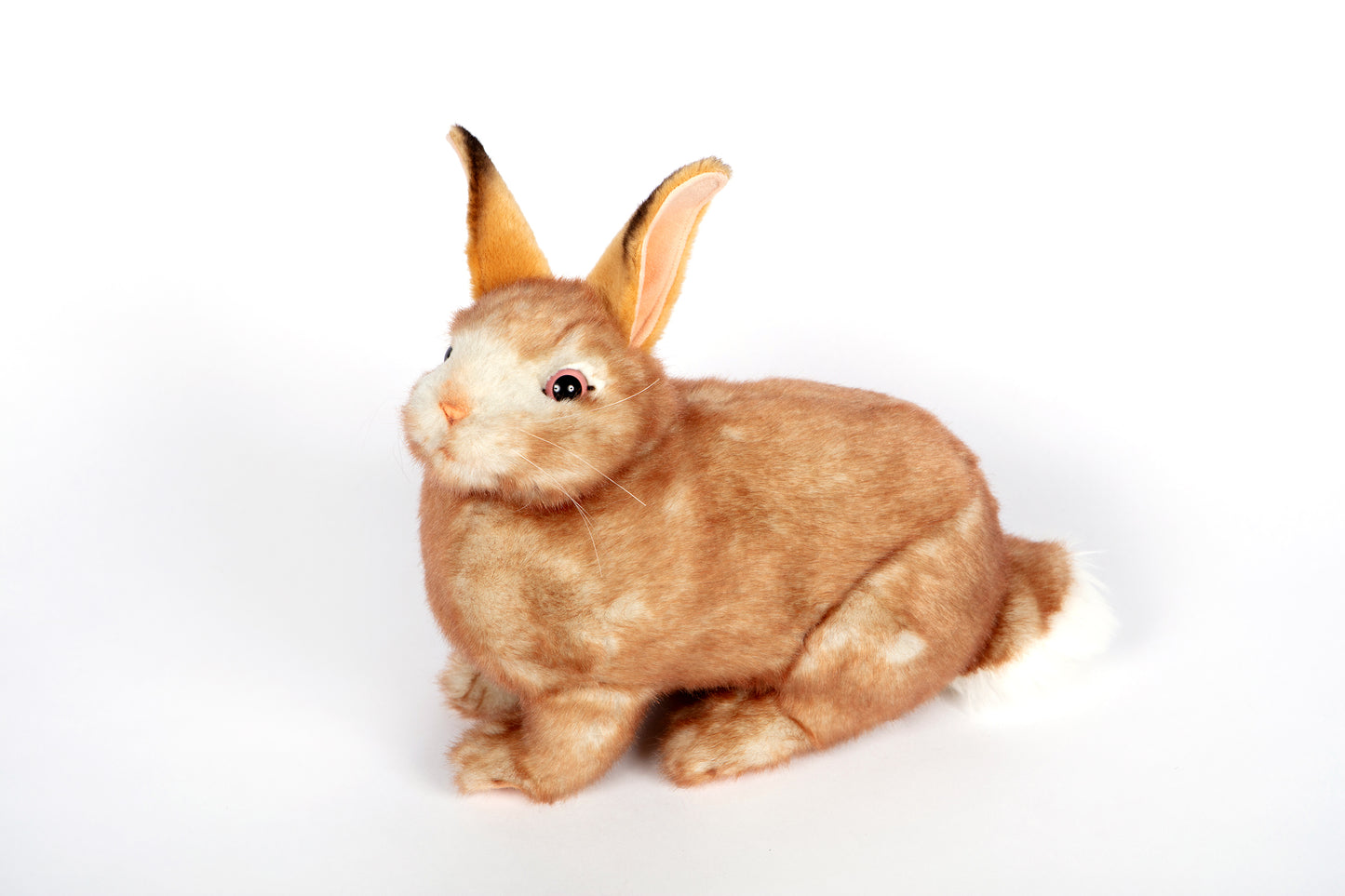Hansa Bunny (Cream)