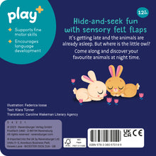 Ravensburger Are you hiding, Little Owl? Book