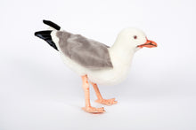 Hansa Seagull Herring