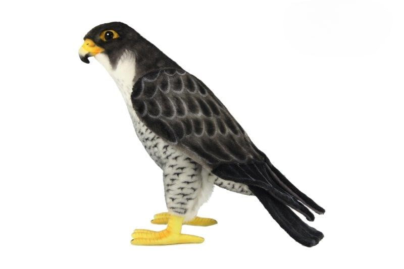 Hansa Falcon