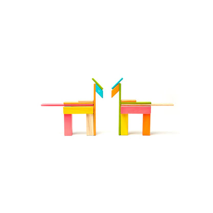 Tegu 24 Piece Set - Tints