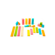 Tegu 24 Piece Set - Tints