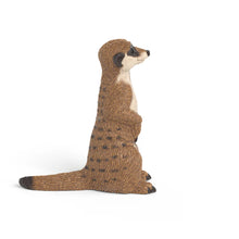 Schleich Meerkat