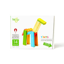 Tegu 14 Piece Set - Tints