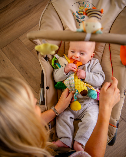 PlayEasy Baby's First Playtime