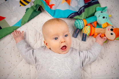 PlayEasy Baby's First Playtime