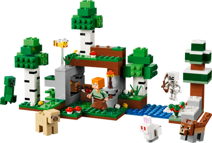 LEGO Minecraft 21593 First Night Adventure