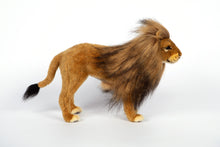 Hansa Lion Male Standing