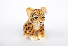 Hansa Amur Leopard Cub