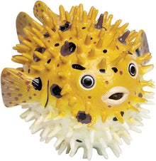 Safari Pufferfish