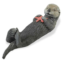 Safari Seaotter