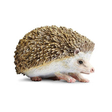 Safari Hedgehog