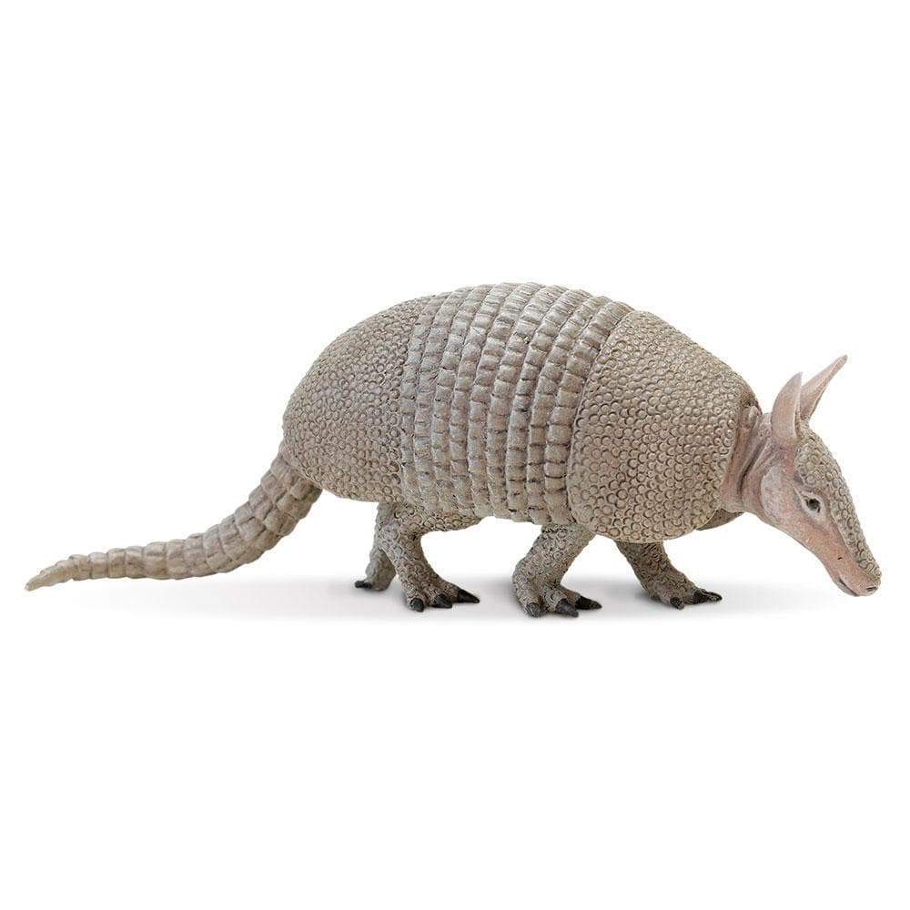 Safari Armadillo