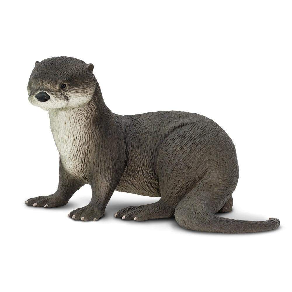 Safari River Otter