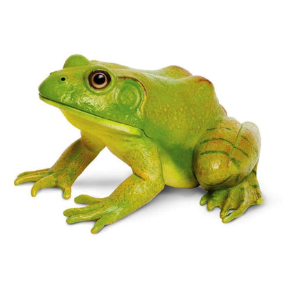 Safari American Bullfrog
