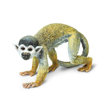 Safari Squirrel Monkey