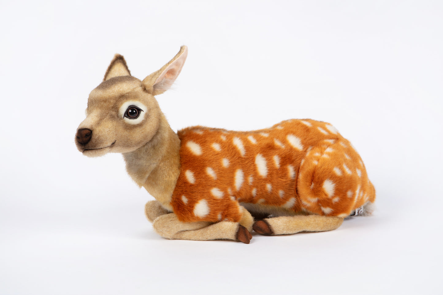 Hansa Sika Deer Fawn Laying