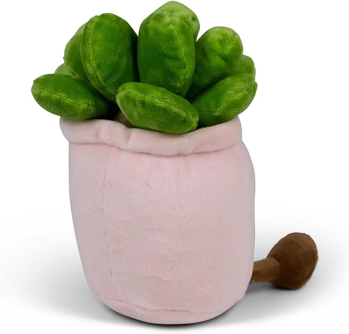 Tobar Animigos Funky Friends - Succulent