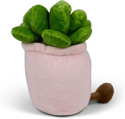 Tobar Animigos Funky Friends - Succulent