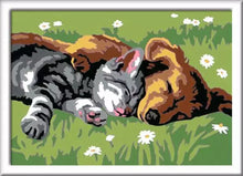 Ravensburger CreArt Painting By Numbers Sleeping Cat & Dog