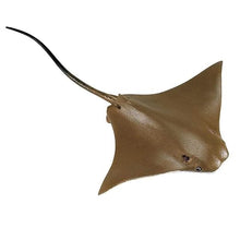 Safari Cownose Ray