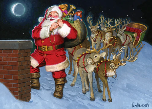 Cobble Hill Puzzles 500 Pieces Up on the Rooftop