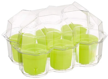 Thames & Kosmos MBE Mimosa Garden