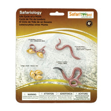 Safari Life Cycle of an Earthworm