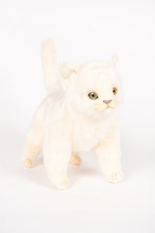 Hansa Kitten Standing