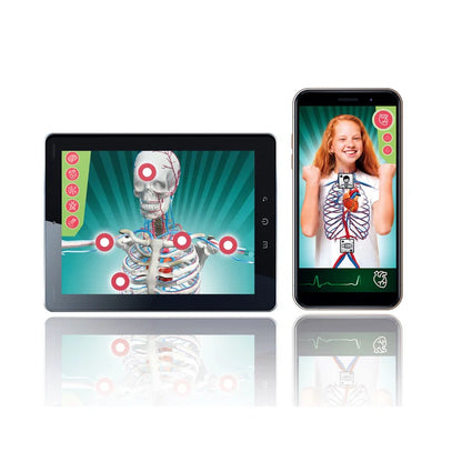 Clementoni  Super Anatomy