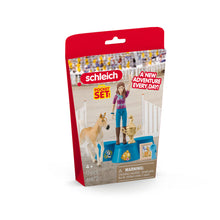 Schleich Pocket Sets: Tournament Ceremony Award