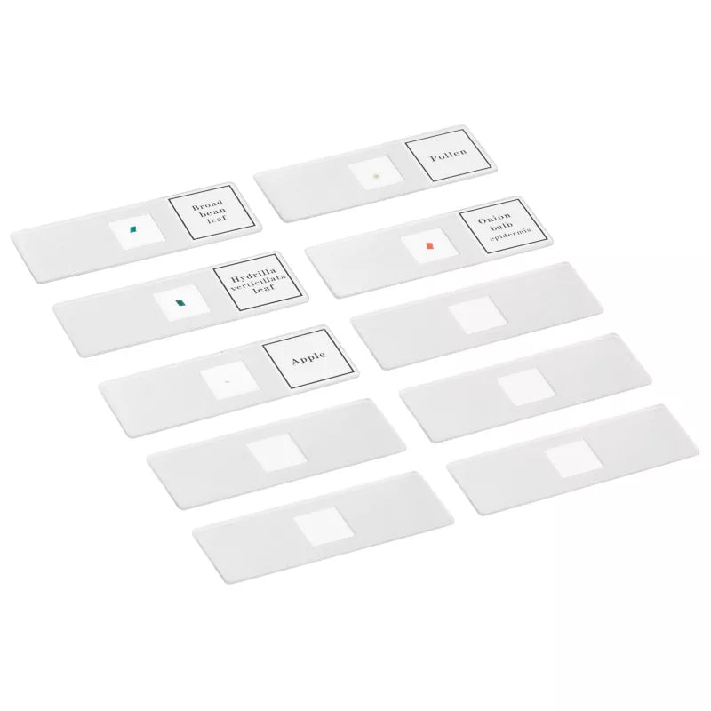 Bresser Junior Biotar 300x-1200x Set Microscope