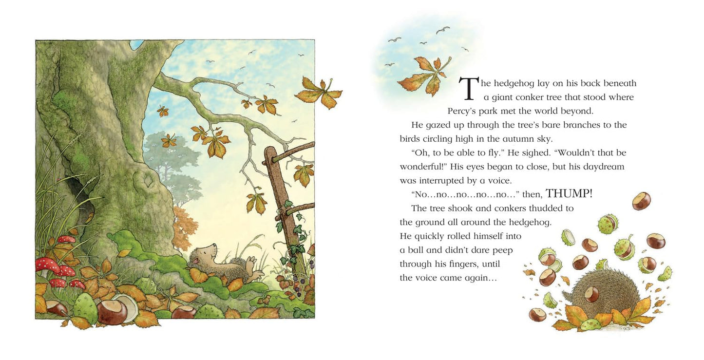 Percy The Park Keeper: A Flying Visit (Pb)