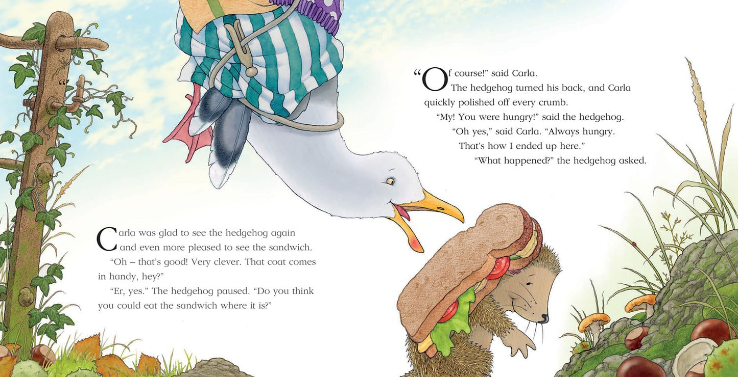 Percy The Park Keeper: A Flying Visit (Pb)