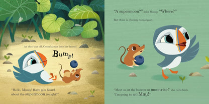 Puffin Rock Goodnight Moon Book