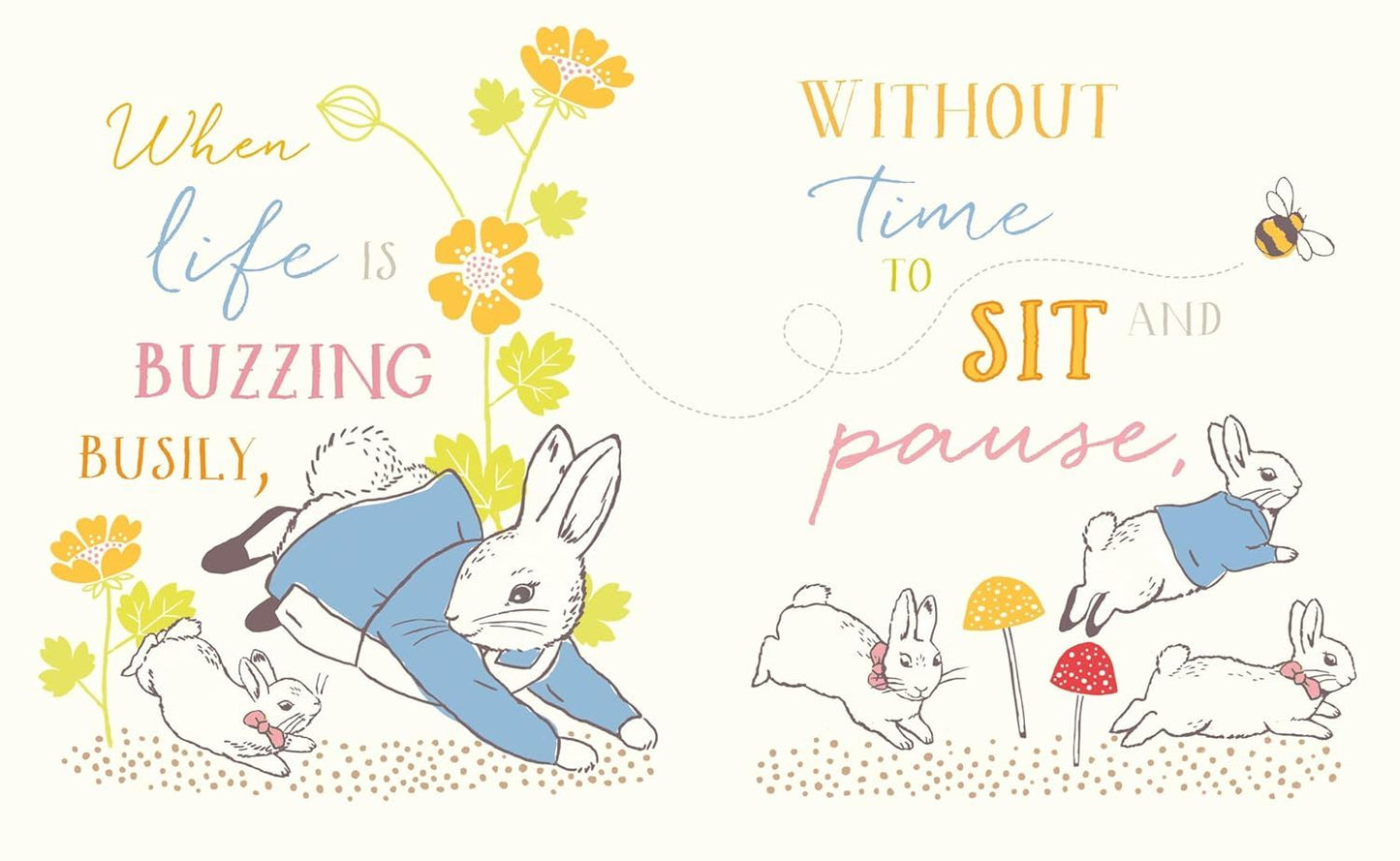 Peter Rabbit: Somebunny Loves You (Hb) Book