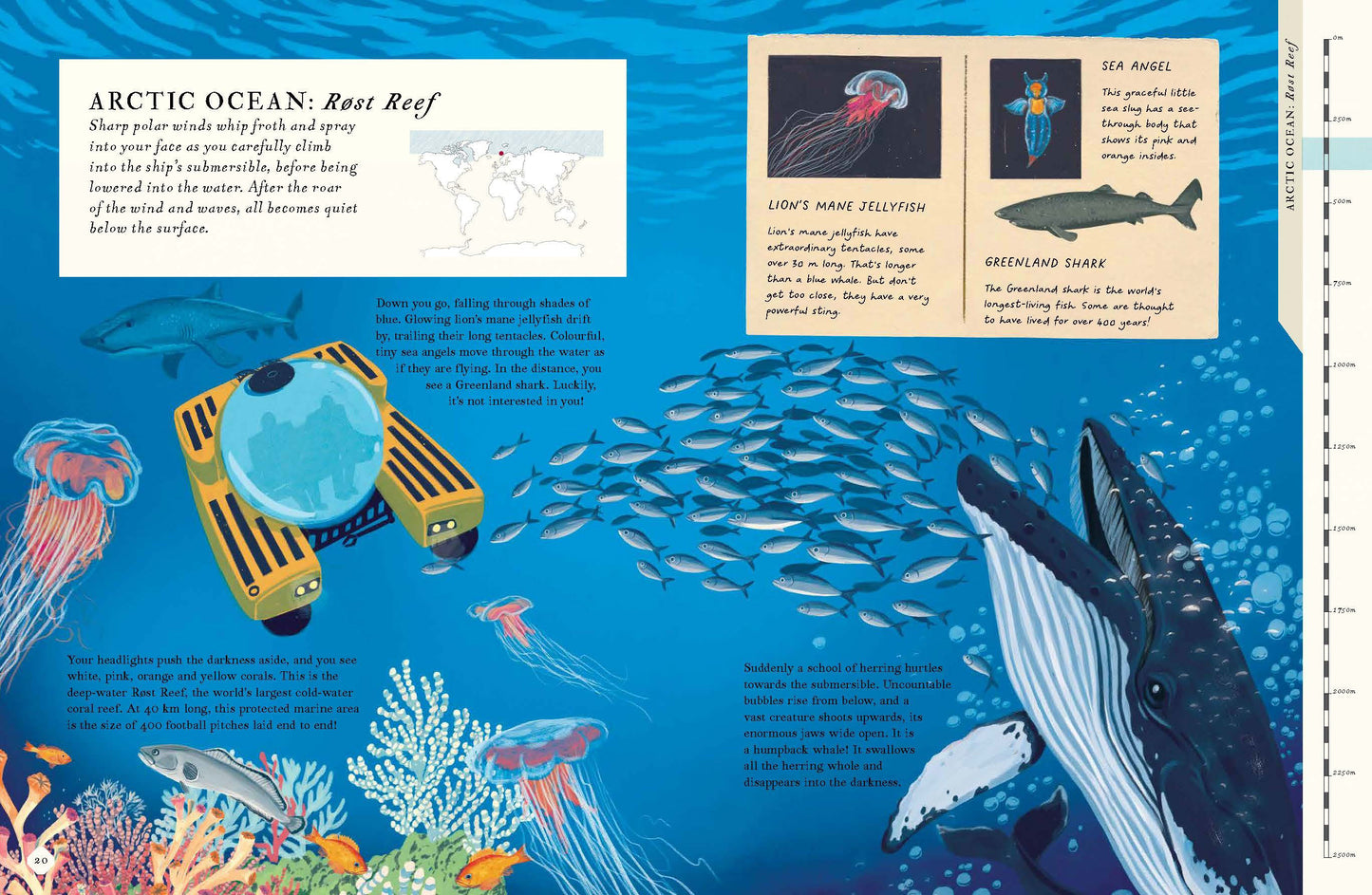 Theres An Ocean In This Book (Hb)