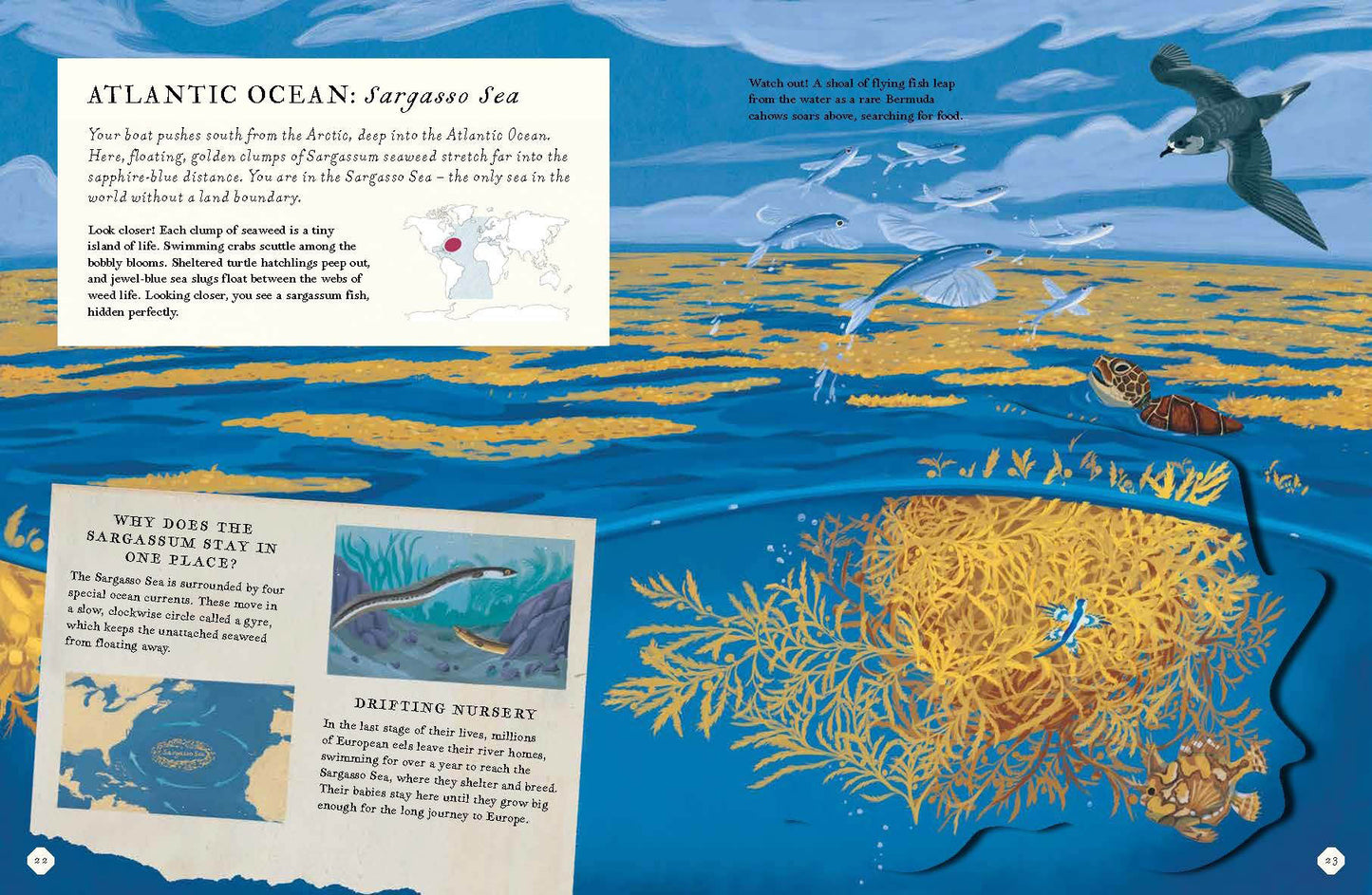 Theres An Ocean In This Book (Hb)