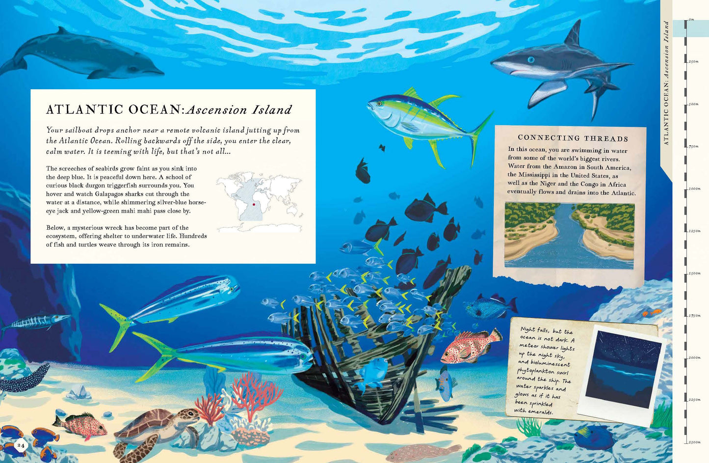 Theres An Ocean In This Book (Hb)