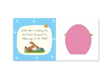 Can You Find The Easter Bunny (Felt Flaps) (Board) Book