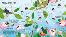Look Inside The World Of Bees (Lift The Flap) (Board)