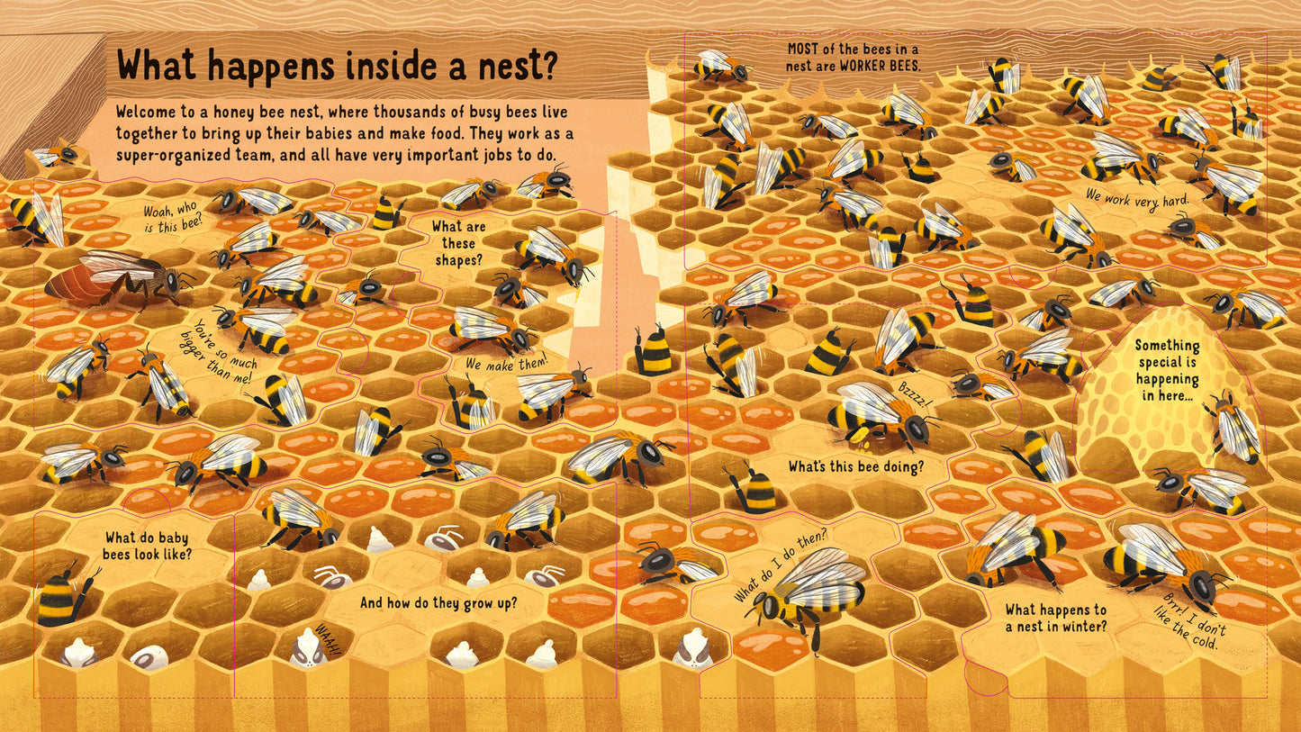Look Inside The World Of Bees (Lift The Flap) (Board)