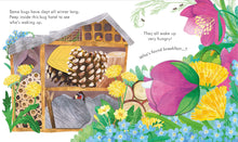 Peep Inside Springtime (Board) Book