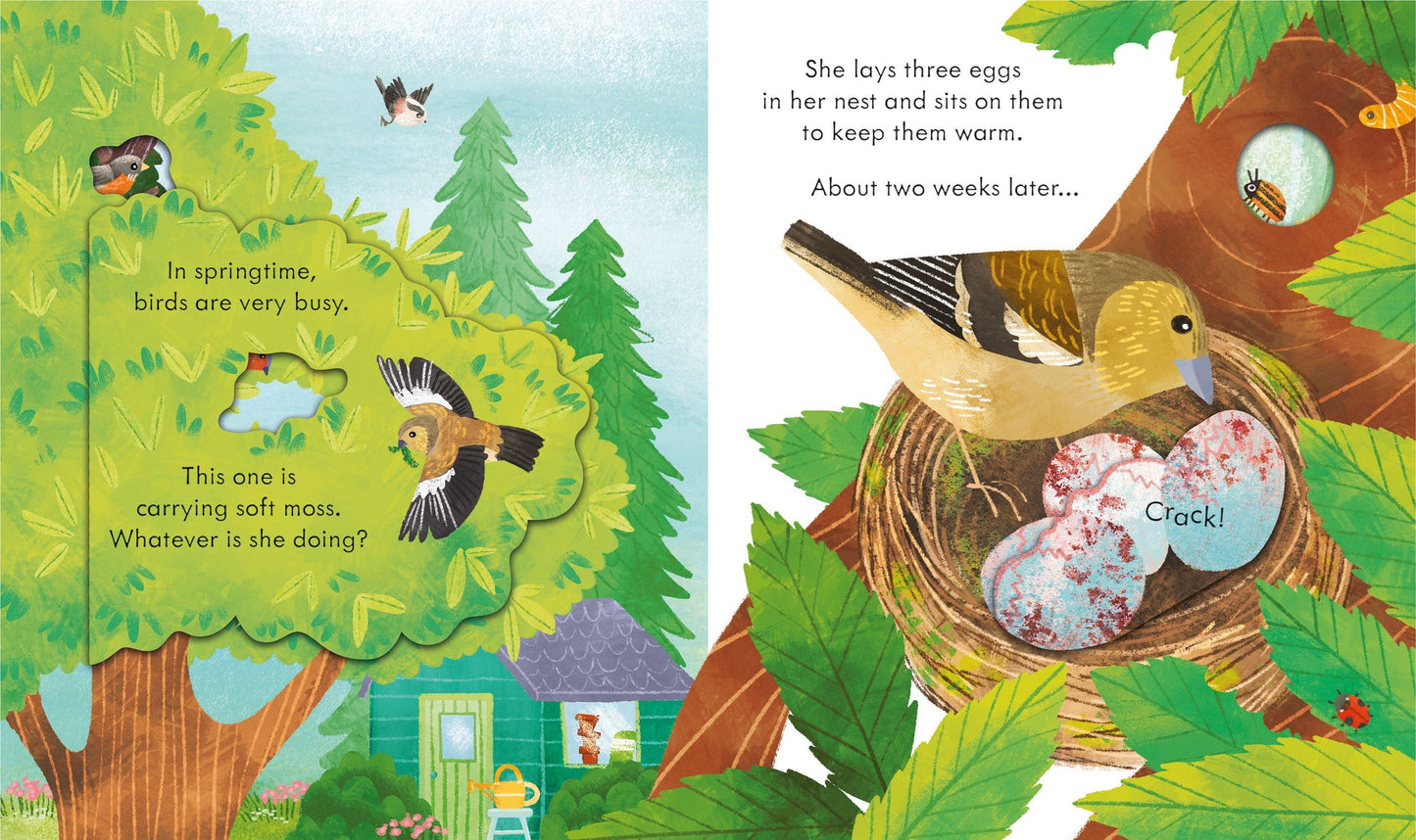 Peep Inside Springtime (Board) Book