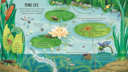 Look Inside Bug World (Lift The Flap) (Board)