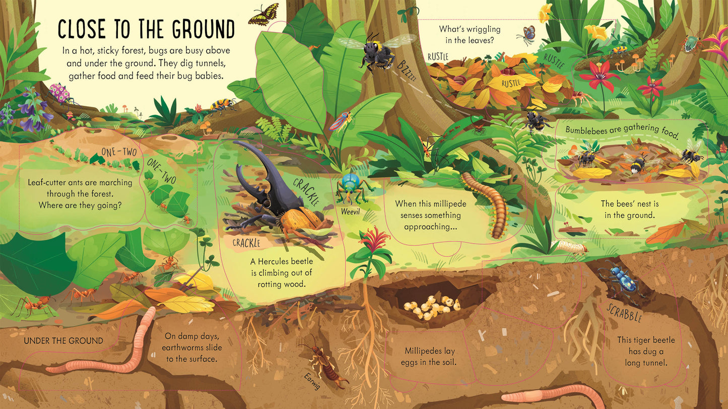 Look Inside Bug World (Lift The Flap) (Board)