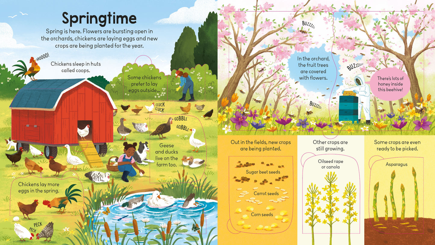 Look Inside A Farm (Lift The Flap) (Board) (New)