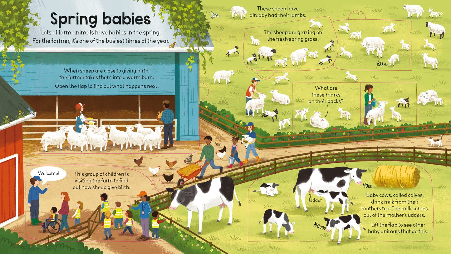 Look Inside A Farm (Lift The Flap) (Board) (New)